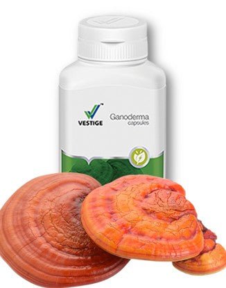 Vestige Ganoderma - AZALI